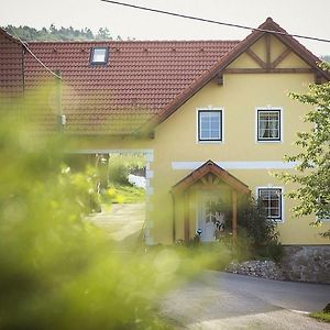 Apartmán Gaestehaus Gnant Winten  Exterior photo