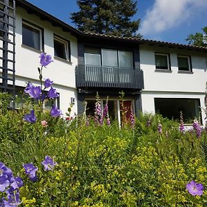 Apartmán Haus Am Park Stadtallendorf Exterior photo