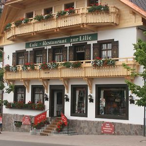 Hotel Gaestehaus Zur Lilie Triberg im Schwarzwald Exterior photo