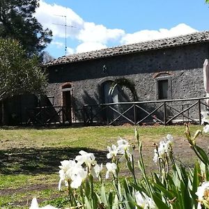 Vila Poggio Roseto Randazzo Exterior photo