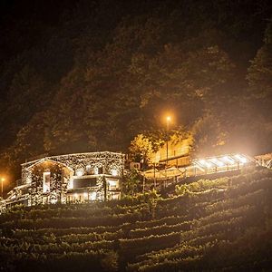 Vila Agriturismo Bio Ca' Pianazola Chiavenna Exterior photo