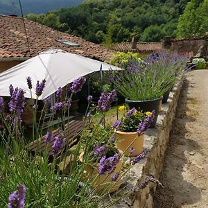 Vila Gite De Charme Ganac Exterior photo