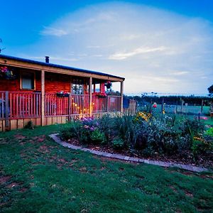 Vila Cherry Tree Glamping Stroud  Exterior photo