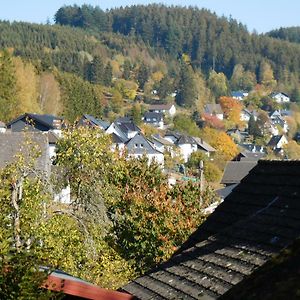 Vila Ferienhaus Rabenhorst Bad Berleburg Exterior photo