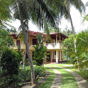 Vinses Villa Hikkaduwa Exterior photo