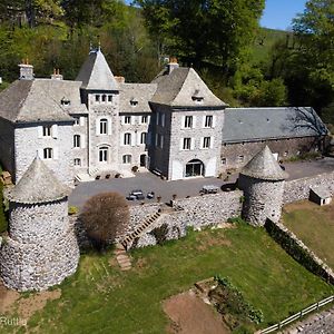 Bed and Breakfast Chateau Du Puech Curieres Exterior photo