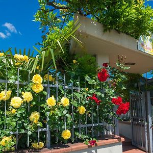 Bed and Breakfast Bed & Breakfast Profumo D'Estate Agliana Exterior photo