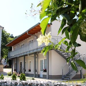 Hotel Pension Am Ziegelwall Budyšín Exterior photo