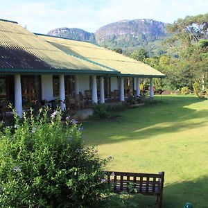 Bed and Breakfast Jungle Tide Kandy Exterior photo