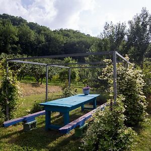 Vila Casale Santa Caterina Jacuzzi And Pool Collazzone Exterior photo