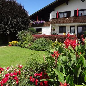 Apartmán Haus Christine Aigen Schlaegl - Moldau Aigen im Mühlkreis Exterior photo