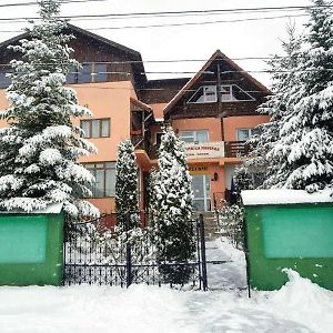 Hotel Pensiunea Agroturistica Piscul Soarelui Cimpulung Exterior photo