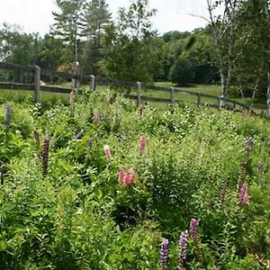 Vila Chester Farmhouse On 100 Acres, 15 Min To Okemo! Exterior photo