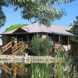 Bed and Breakfast Starry Nights Ranch Bed & Breakfast Mancos Exterior photo