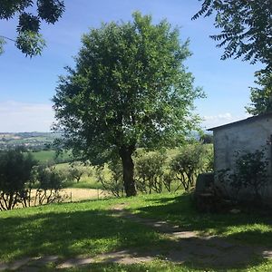 Bed and Breakfast Bed & Breakfast Montsegur Senigallia Exterior photo