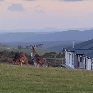 Bed and Breakfast Rooks Edge Gisborne Exterior photo