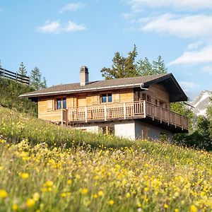 Apartmán Labbrunnu In Den Walliser Alpen Rosswald Exterior photo